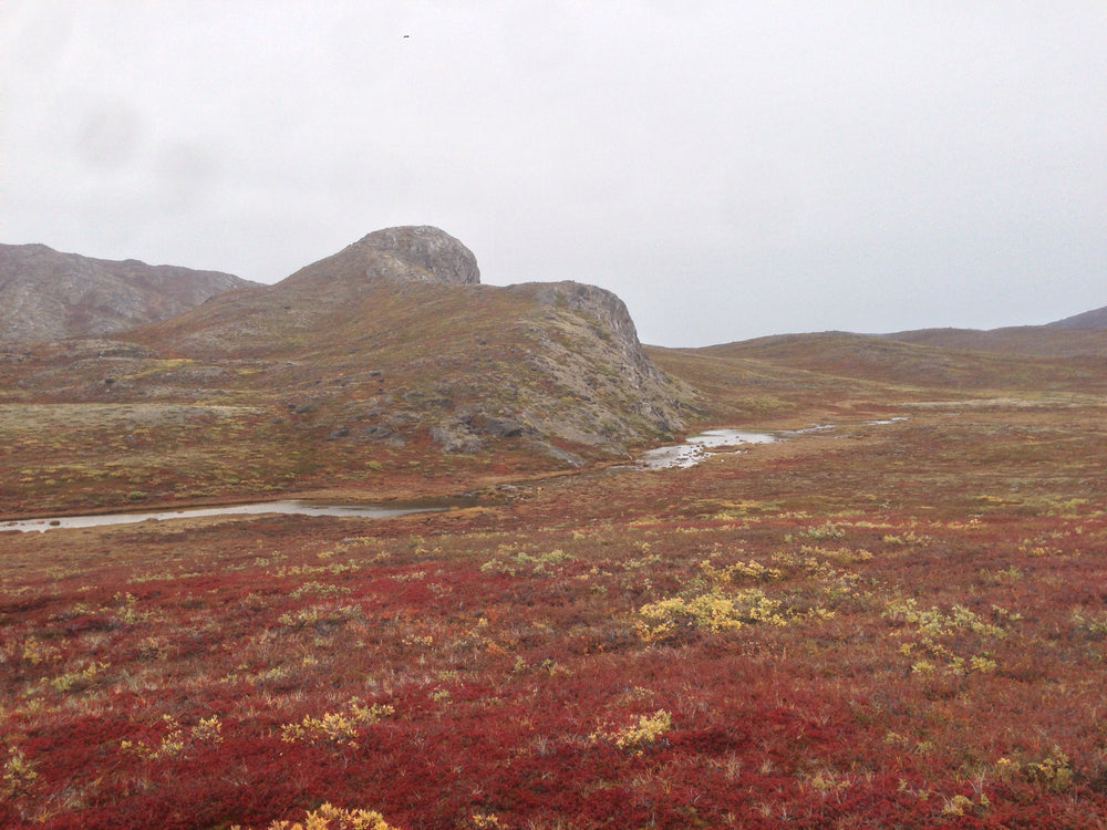 ALONE IN THE ARCTIC - My journey on the Arctic Circle Trail (Greenland) (Day 3)